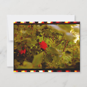 Vintage-Film versteckte Rose Postkarte