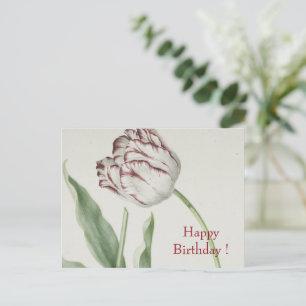 Vintage Fine Art, weiße und rote Tulpen-Geburtstag Postkarte