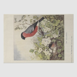Vintage-Fink decoupage mit Blumen-Ephemera Seidenpapier