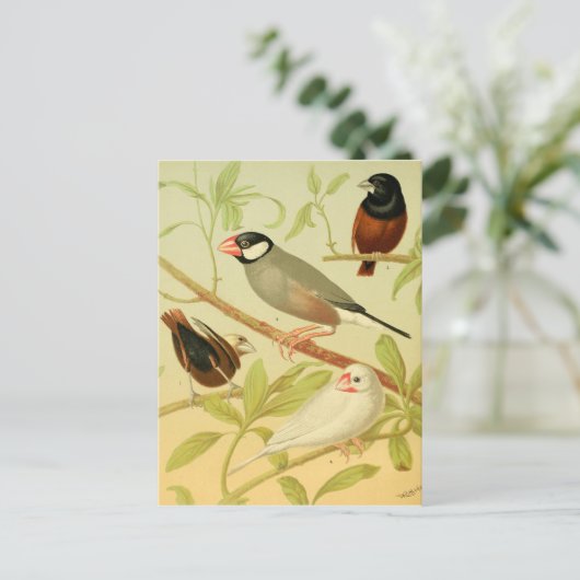 Vintage Finte und Sperre Postkarte (Stehend Vorderseite)