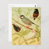 Vintage Finte und Sperre Postkarte (Vorne/Hinten)