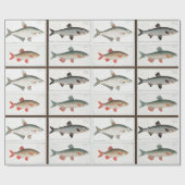 Vintage Fischbilder Geschenkpapier (Flach)