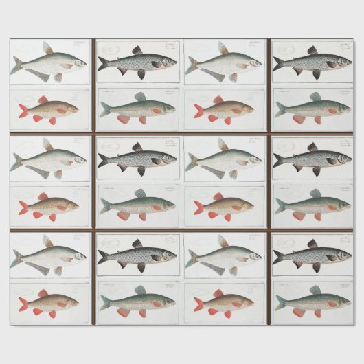 Vintage Fischbilder Geschenkpapier (Flach)