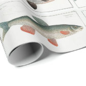 Vintage Fischbilder Geschenkpapier (Rolleneckpunkt)