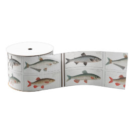 Vintage Fischbilder Ripsband