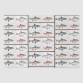 Vintage Fischbilder Seidenpapier (Vorderseite)