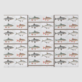 Vintage Fischbilder Seidenpapier