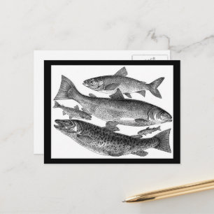 Vintage-Fischdruck Postkarte