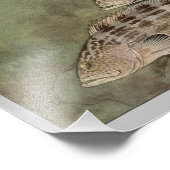 Vintage Fischdruckerei mit schwarzer Groupe Fotodruck (Ecke)