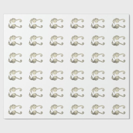 Vintage Fische der Wissenschafts-NZ - große Geschenkpapier (Flach)