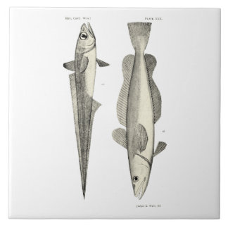 Vintage Fische der Wissenschafts-NZ - Hoki Fliese