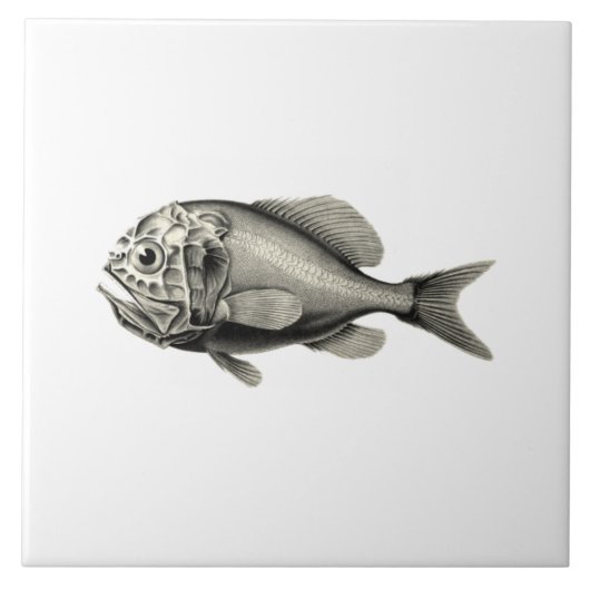 Vintage Fische der Wissenschafts-NZ - orange Fliese (Vorderseite)