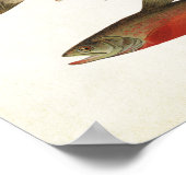 Vintage Fische - Forellen Poster (Ecke)