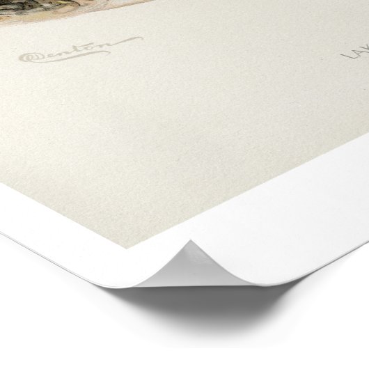 Vintage Fische - Forellensee Poster (Ecke)