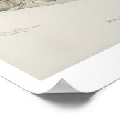 Vintage Fische - Lachssperrung Poster (Ecke)