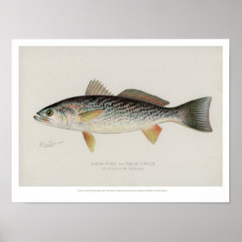 Vintage Fische - schwache Fische Poster