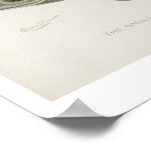 Vintage Fische - Schwarzer Bass Poster (Ecke)