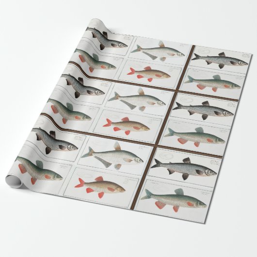 Vintage-Fischillustrationen Geschenkpapier (Ungerollt)