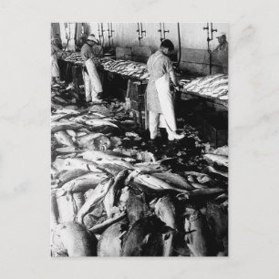 Vintage-Fischmarkt-Vorbereitungsfoto Postkarte