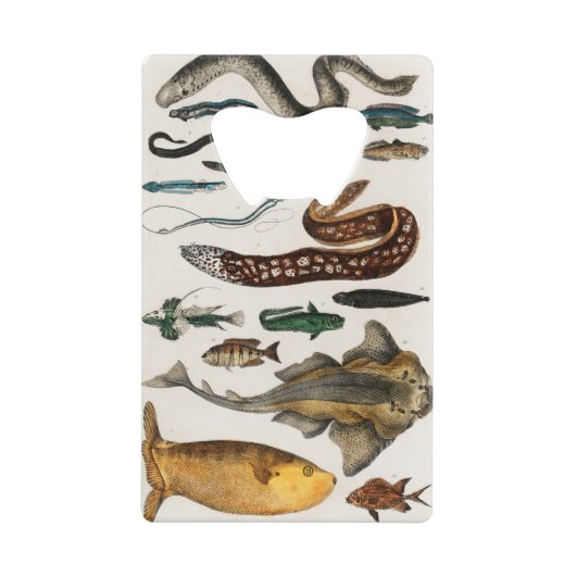 Vintage Fischsammlungen Geldbeutel Flaschenöffner (Vorderseite)