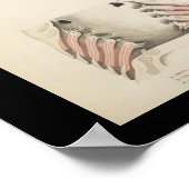 Vintage Fish Anatomy Print Poster (Ecke)