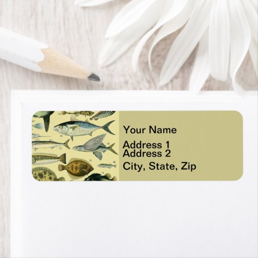 Vintage Fish Scientific Fishing Art (Insitu)