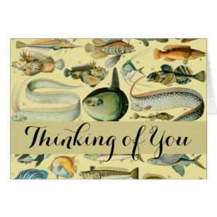 Vintage Fish Scientific Fishing Art