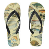 Vintage Fish Scientific Fishing Art Badesandalen (Fußbett)