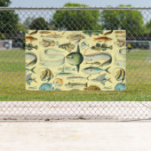 Vintage Fish Scientific Fishing Art Banner (Insitu)