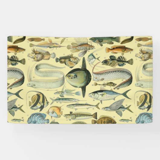 Vintage Fish Scientific Fishing Art Banner (Horizontal)