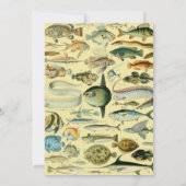Vintage Fish Scientific Fishing Art Einladung (Rückseite)