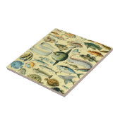 Vintage Fish Scientific Fishing Art Fliese (Seite)