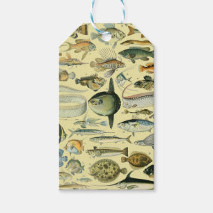 Vintage Fish Scientific Fishing Art Geschenkanhänger