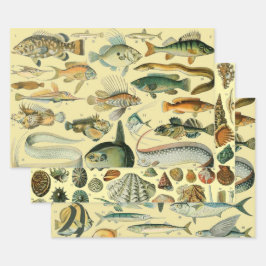 Vintage Fish Scientific Fishing Art Geschenkpapier Set