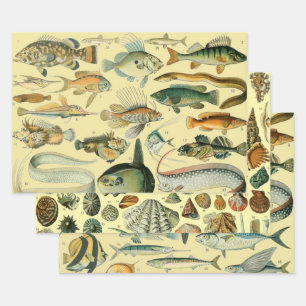 Vintage Fish Scientific Fishing Art Geschenkpapier Set