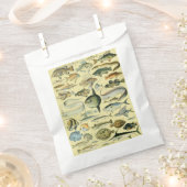 Vintage Fish Scientific Fishing Art Geschenktütchen (Ausgeschnitten)