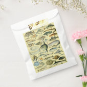 Vintage Fish Scientific Fishing Art Geschenktütchen (Versiegelt)