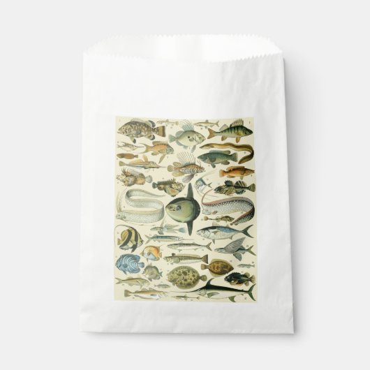 Vintage Fish Scientific Fishing Art Geschenktütchen (Vorderseite)