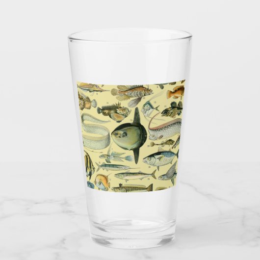Vintage Fish Scientific Fishing Art Glas (Vorderseite)