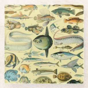 Vintage Fish Scientific Fishing Art Glasuntersetzer
