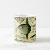 Vintage Fish Scientific Fishing Art Kaffeetasse (Mittel)