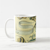 Vintage Fish Scientific Fishing Art Kaffeetasse (Links)