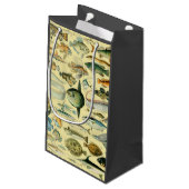 Vintage Fish Scientific Fishing Art Kleine Geschenktüte (Rückseite Schrägansicht)