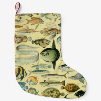 Vintage Fish Scientific Fishing Art Kleiner Weihnachtsstrumpf