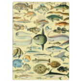 Vintage Fish Scientific Fishing Art Klemmbrett (Rückseite)