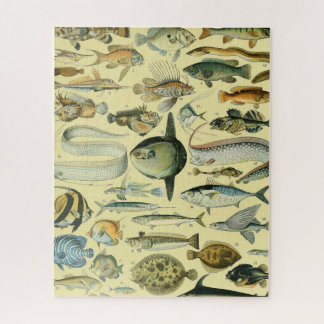 Vintage Fish Scientific Fishing Art Puzzle
