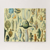 Vintage Fish Scientific Fishing Art Puzzle (Horizontal)