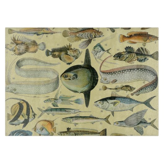 Vintage Fish Scientific Fishing Art Schneidebrett (Vorderseite)