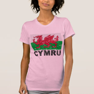 Vintage Flagge Wales CYMRU T-Shirt