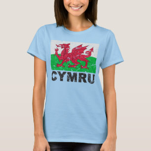 Vintage Flagge Wales CYMRU T-Shirt